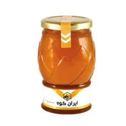 عسل ایران کوه بدون موم (500گرم)