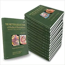 خرید کتاب نتتر کالکشن آف مدیکال The Netter Collection of Medical Illustrations Complete Package