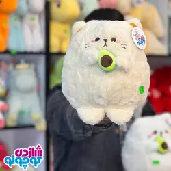 عروسک گربه آووکادو به دست