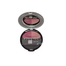 رژ گونه فشرده باربارا بورت شماره 29