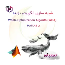 شبیه سازی الگوریتم بهینه Whale Optimization Algorithm (WOA) در متلب