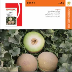 بذر خربزه بوکس