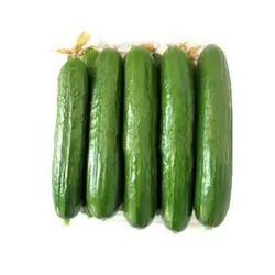 بذر خیار بومبای