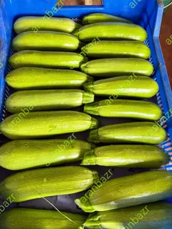 بذر کدو نکسرین