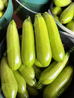 بذر کدو نکسرین