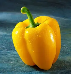 بذر گلخانه ای فلفل لوموس