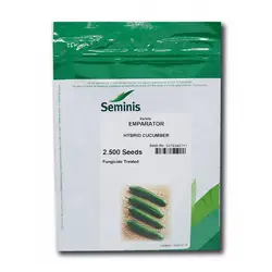 خیار امپراطور سمینیس آمریکا