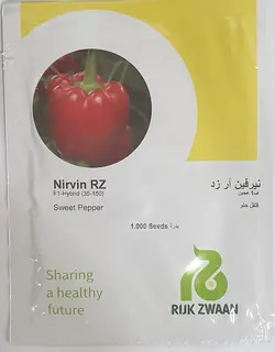 فلفل گلخانه ای نروین