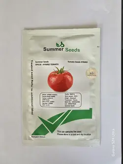 بذر گوجه کا ۹۱۱ زودرس