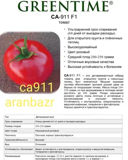 بذر گوجه کا ۹۱۱ زودرس