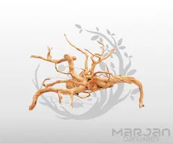 چوب آبنوس آکواریوم