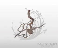چوب آبنوس آکواریوم