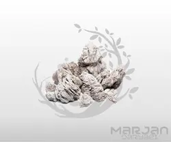 صخره و سنگ آکواریوم الفنت