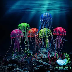 عروس دریایی ژله ای شبرنگ