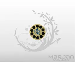 دماسنج گرد برچسبی HIL هایلا