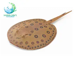 سفره ماهی ماربل