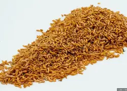 غذا ماهی گاماروس قرص منجمد ریو جوما