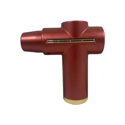 ماساژور تفنگی مدل DS-118