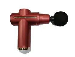 ماساژور تفنگی مدل DS-118