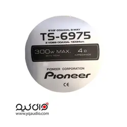 برچسب 6975 300w - قطعات بلندگو وای کیو