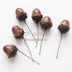 بلوط تزیینی