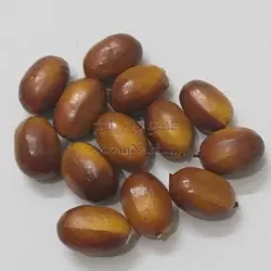 سنجد فومی تزیینی