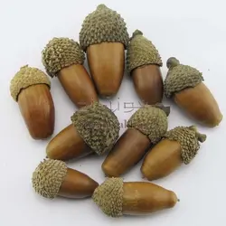 استوک_ بلوط طبیعی