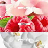 اسکیت برد چرخ دار سیلیکونی شن و ماسه شده حرفه ای مدل TWG19000909 برند CANSPORT