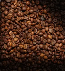 قهوه روبوستا ویتنام