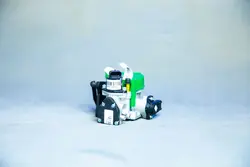 دریچه گاز زیمنس