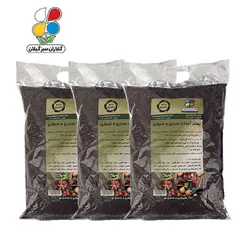 بستر آماده کشت سبزی و صیفی 4 کیلوگرمی مجموعه 3 عددی - گلباران سر سبز