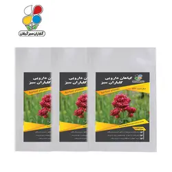 بذر سنبل الطیب بسته 3 عددی - گلباران سر سبز