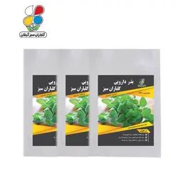 بذر مرزنجوش بسته 3 عددی - گلباران سر سبز