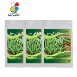 بذر نخود فرنگی بسته سه عددی - گلباران سر سبز