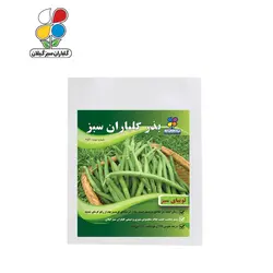 بذر لوبیا سبز بسته بندی کوچک ( بسته 20 عددی ) - گلباران سر سبز