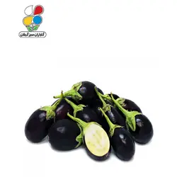 بذر بادمجان دلمه ای بسته بندی بزرگ - گلباران سر سبز