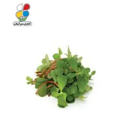 بذر خرفه بسته بندی کوچک - گلباران سر سبز