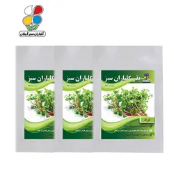 بذر خرفه بسته سه عددی - گلباران سر سبز