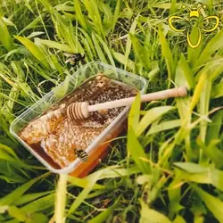 عسل کفراج چهل گیاه با موم - عسل کفراج