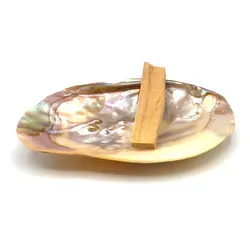 چوب مقدس پالوسانتو اکوادور و صدف مادر