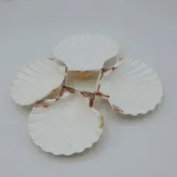 صدف کفه گود بزرگ