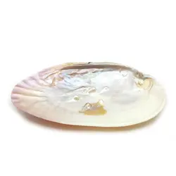 صدف مادر مروارید ساز