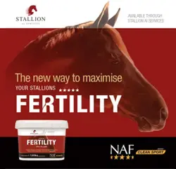 Fertility For Stallions - بهبود سلامت و کیفیت اسپرم برای باروری در اسب‌های نر NAF