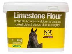 Limestone Flour -  پودر کربنات کلسیم- تامین کننده کلسیم NAF