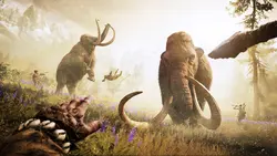 خرید بازی ۴ Far Cry برای XBOX 360