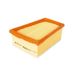 فیلتر هوا دیگنیتی