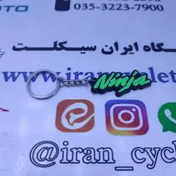 جاسوئیچی سیلیکونی نینجا سبز