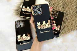 قاب خانواده خرگوش