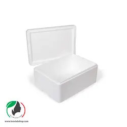 یخدان حمل بوتاکس COOLBOX - طوس طب