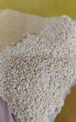 کنجد سفید ۵۰۰ گرمی